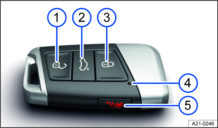 Fig. 46 Vehicle key without key bit.