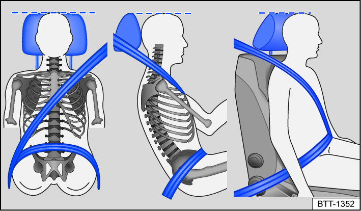 Fig. 24 Correct safety belt positioning and correct head restraint adjustment.