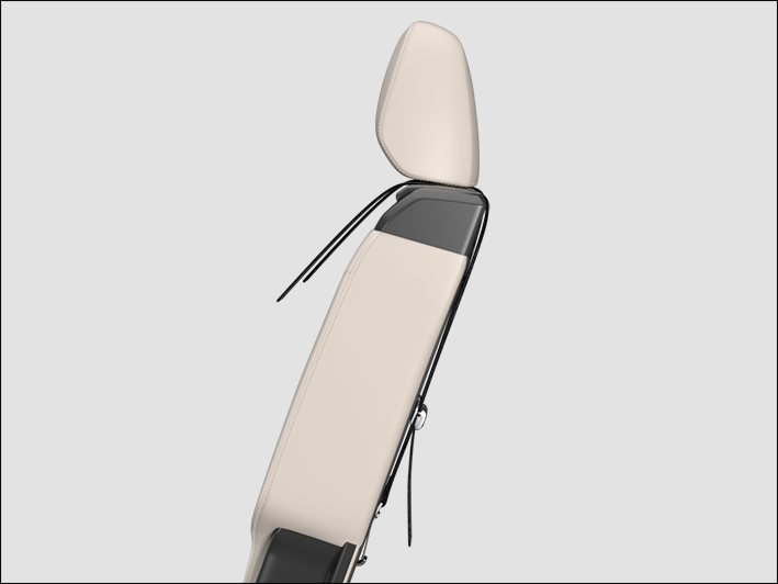 Fig. 40 On the back of the second-row seats: Attached top tether safety belt.